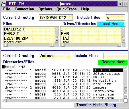 FTP.PM - ftspace.tin.it (mrossi)